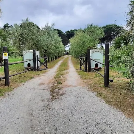 Podere Buselli 2